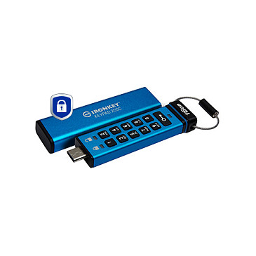 Kingston Technology IronKey Keypad 200 USB flash drive
