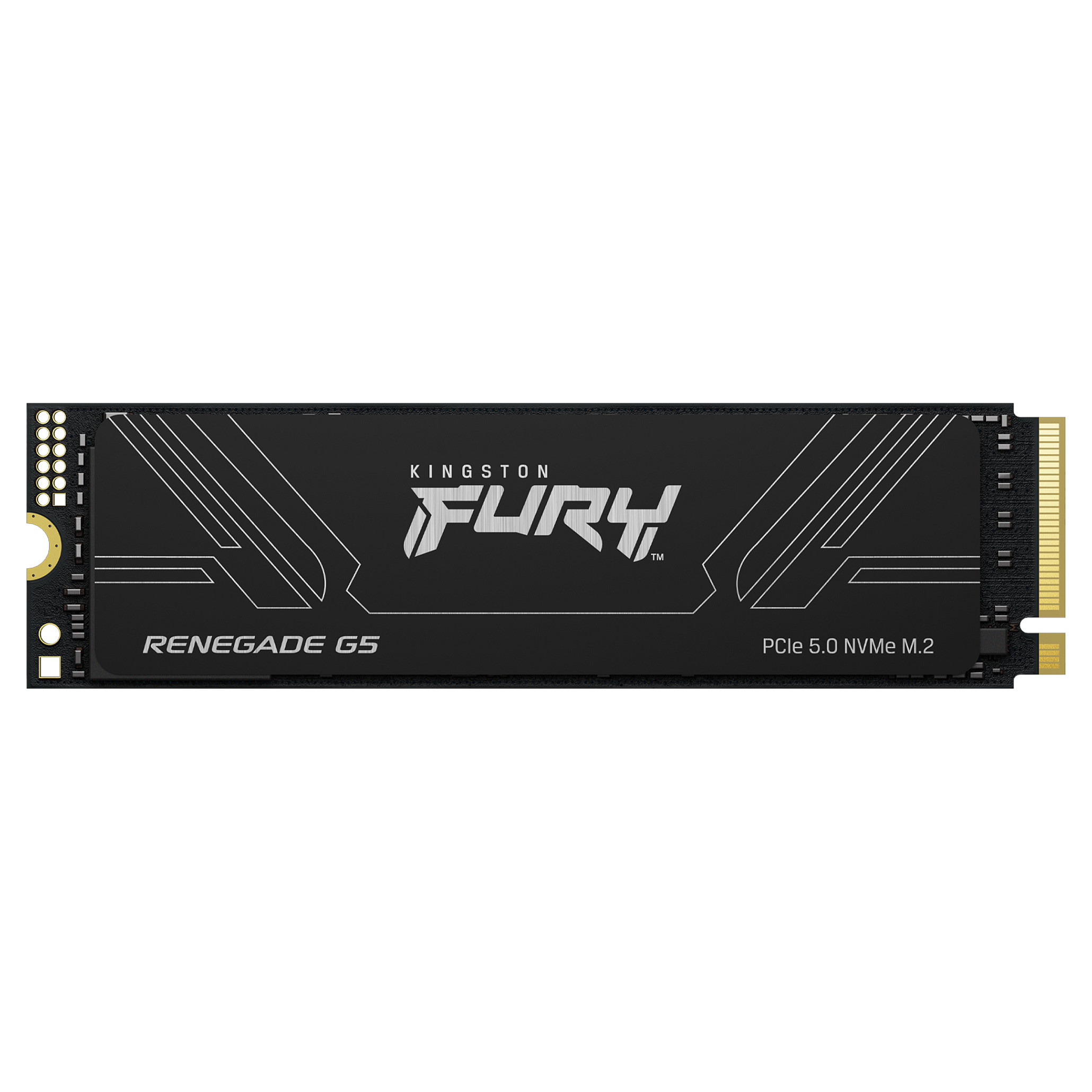 Kingston Technology FURY Renegade G5