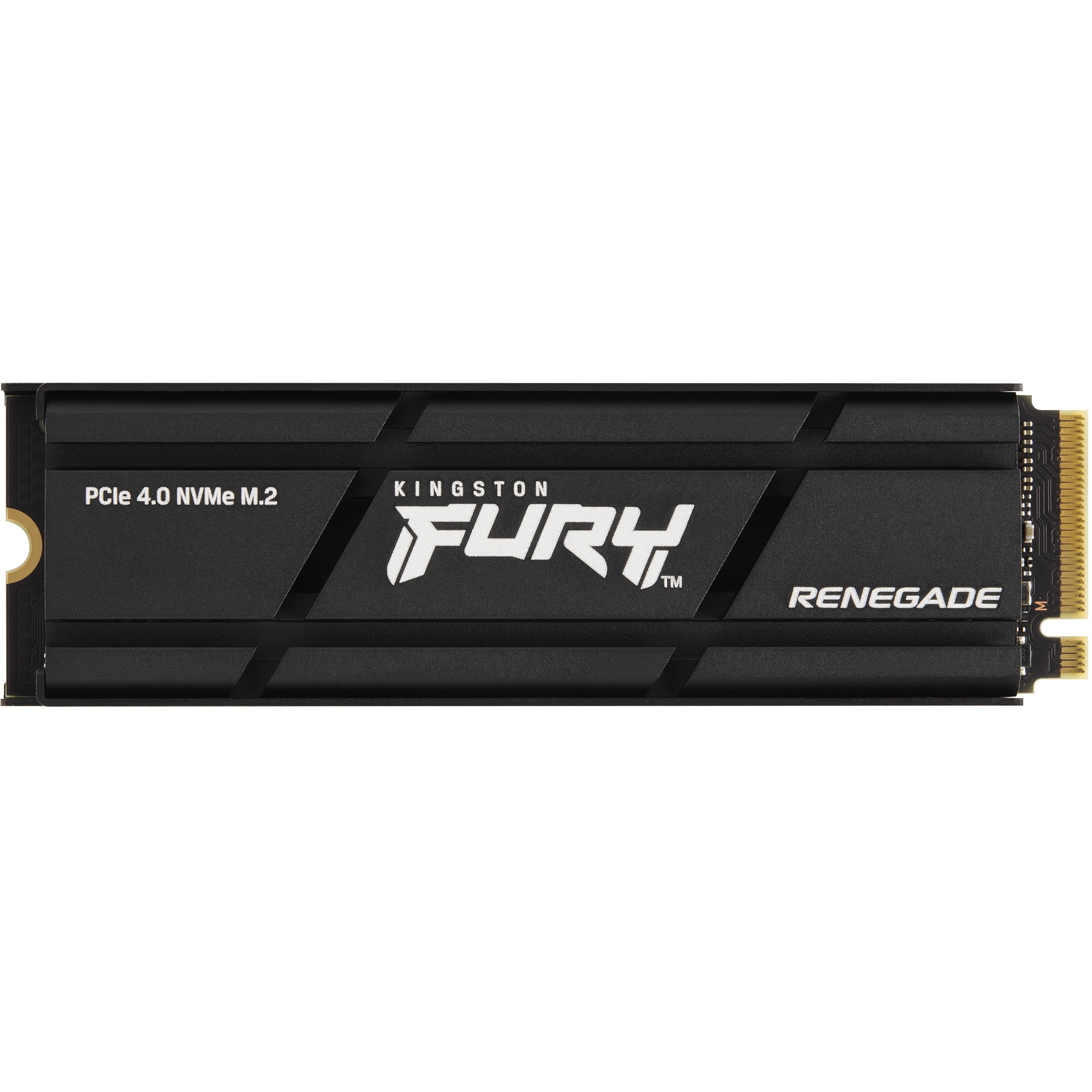 Kingston Technology FURY Renegade