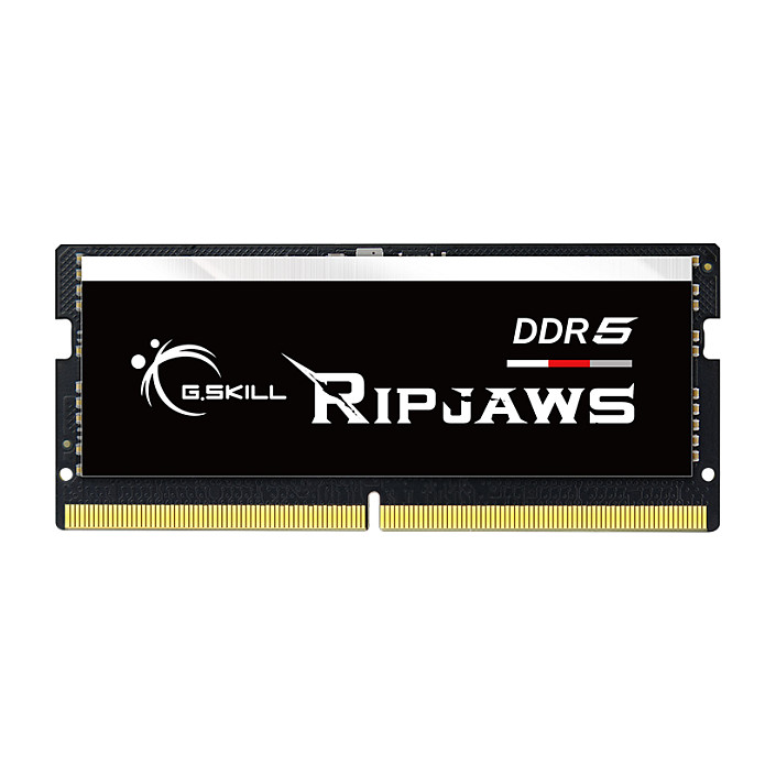 G.Skill Ripjaws F5-5600S4645A16GX1-RS memory module