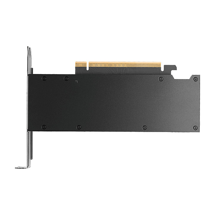 PNY RTX PRO 2000 Blackwell