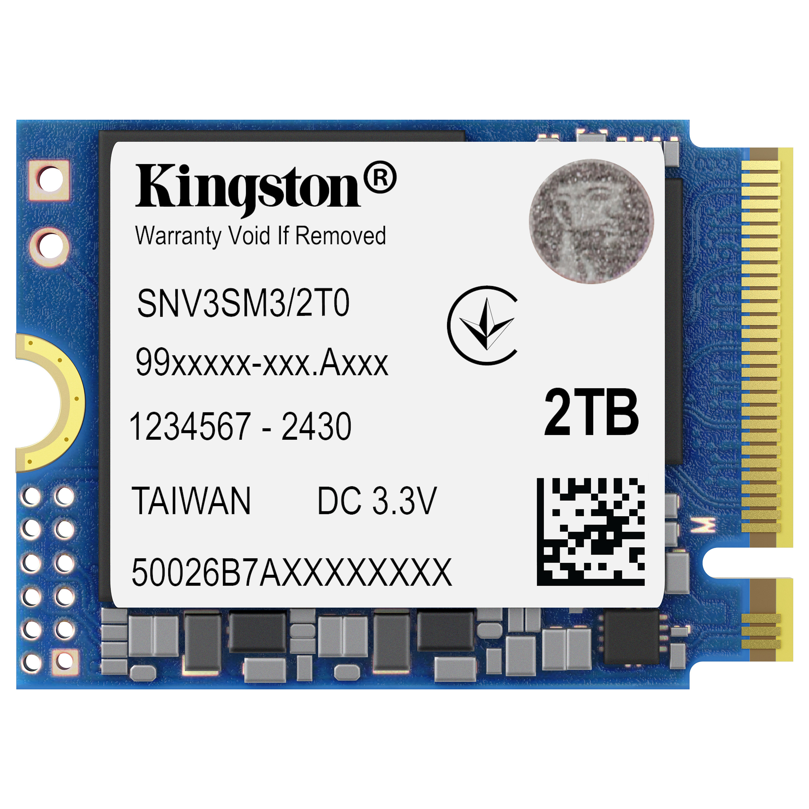 Kingston Technology NV3