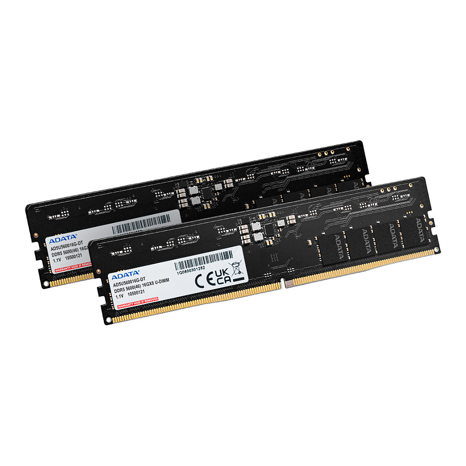 ADATA AD5U560032G-DT memory module