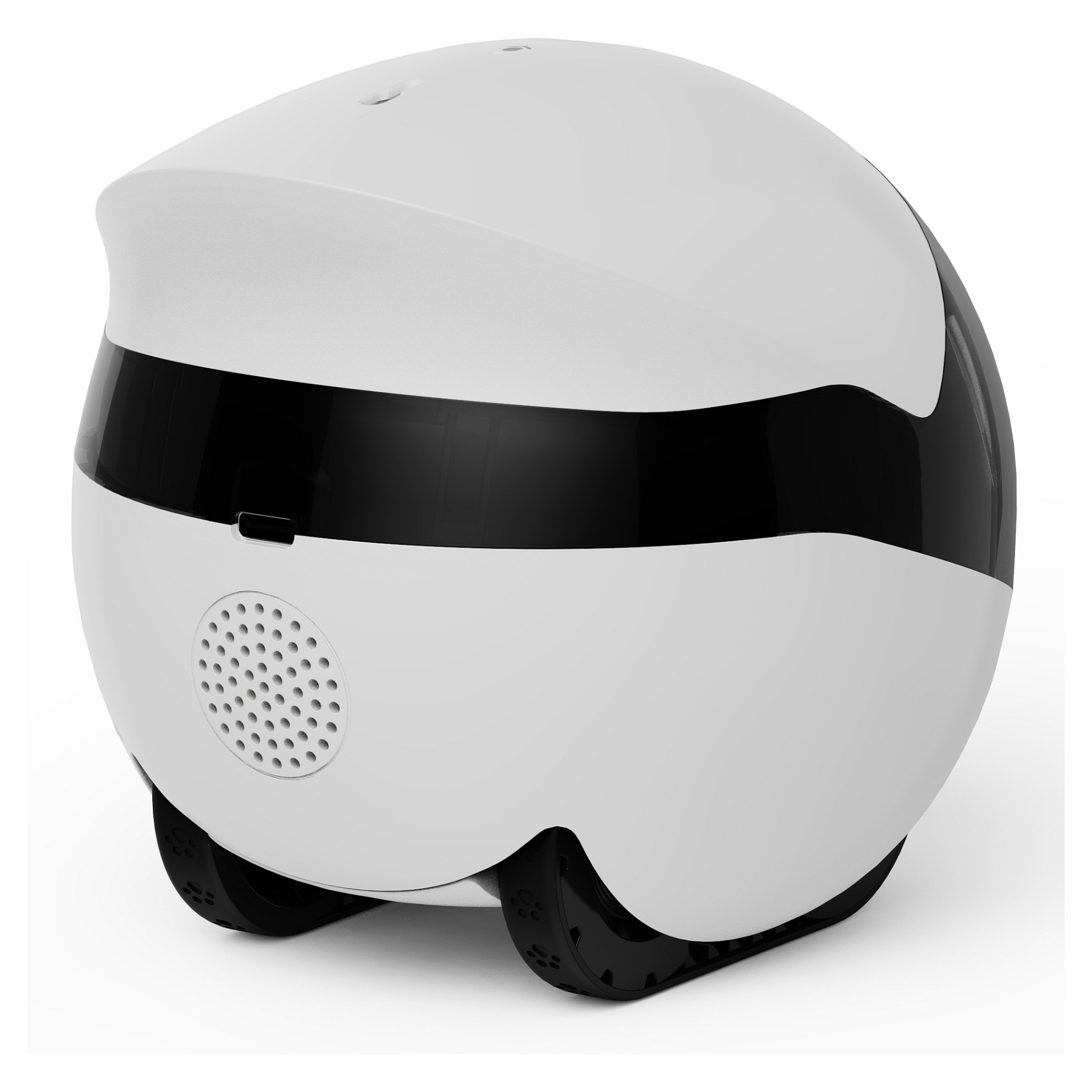Enabot Rola Mini Pet Monitor