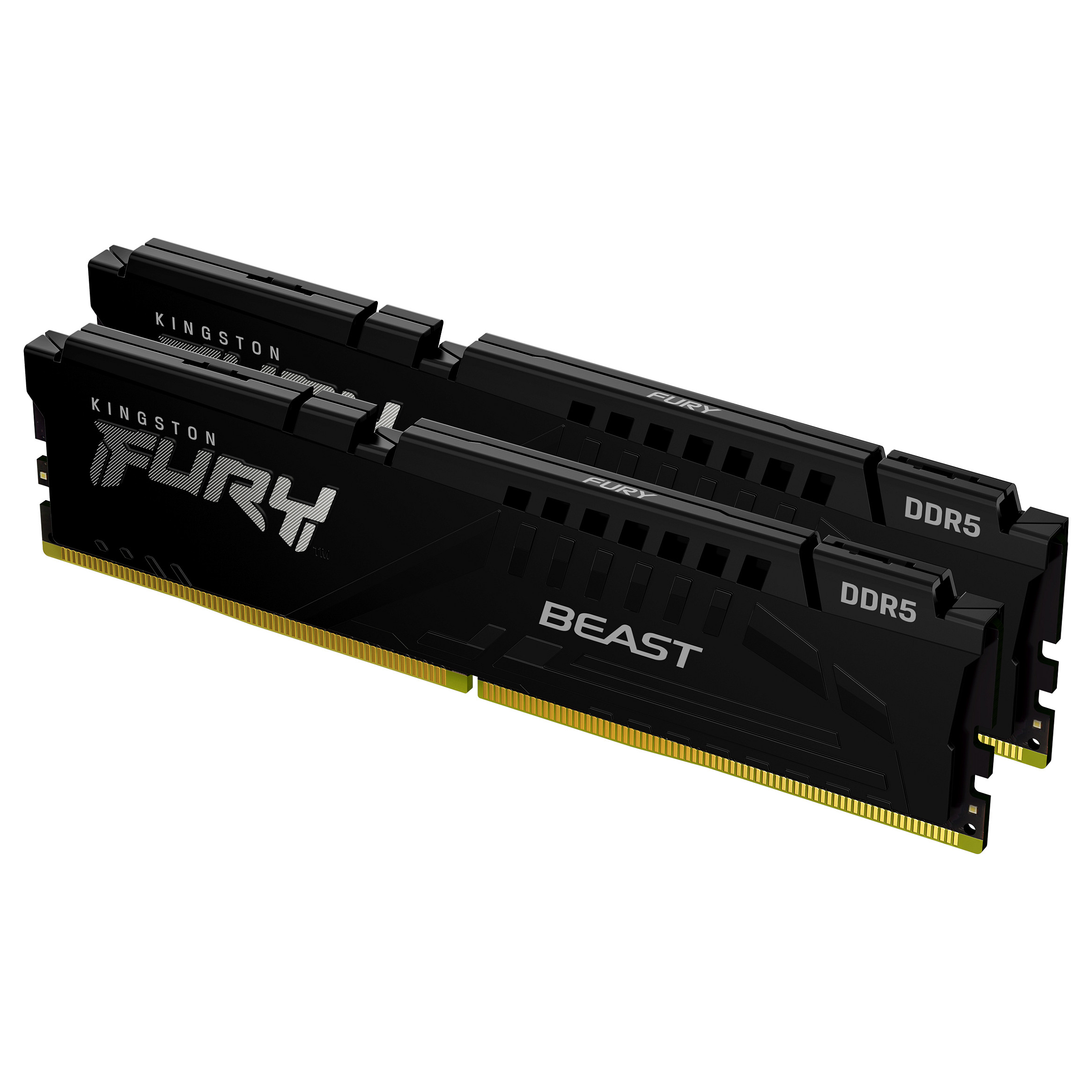 Article image: Kingston Technology FURY Beast memory module