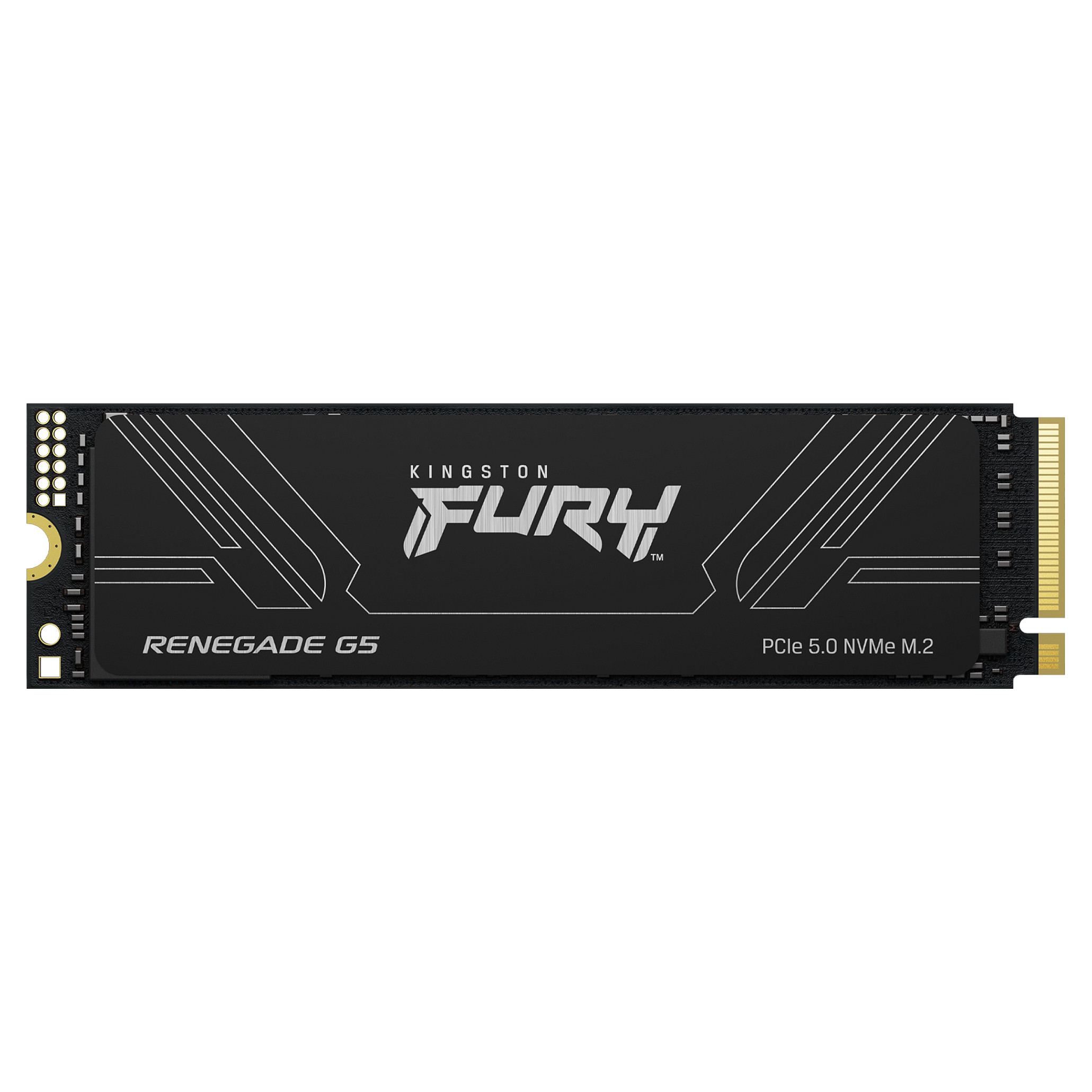 Kingston Technology FURY Renegade G5