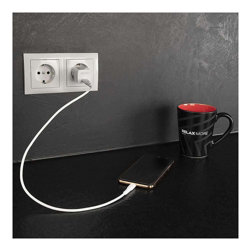 Lindy 73410 mobile device charger