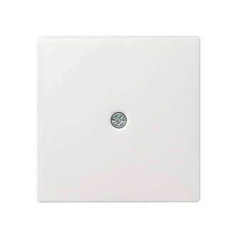 GIRA 027403 Abdeckung Schnurableit.+VDo System 55 reinweiß