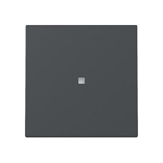 GIRA 329028 wall plate/switch cover Elektroinstallation