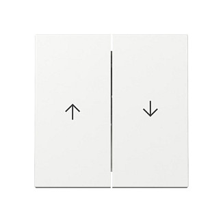 GIRA 329403 Wippe 2f Pfeil System 55 Reinweiß