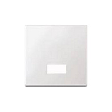 MERTEN 433819 Wippe für Schalter. Symbolfenster pws SYSTEM M