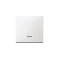 MERTEN 431019 Wippe mit Kontrollfenster polarweiss System M