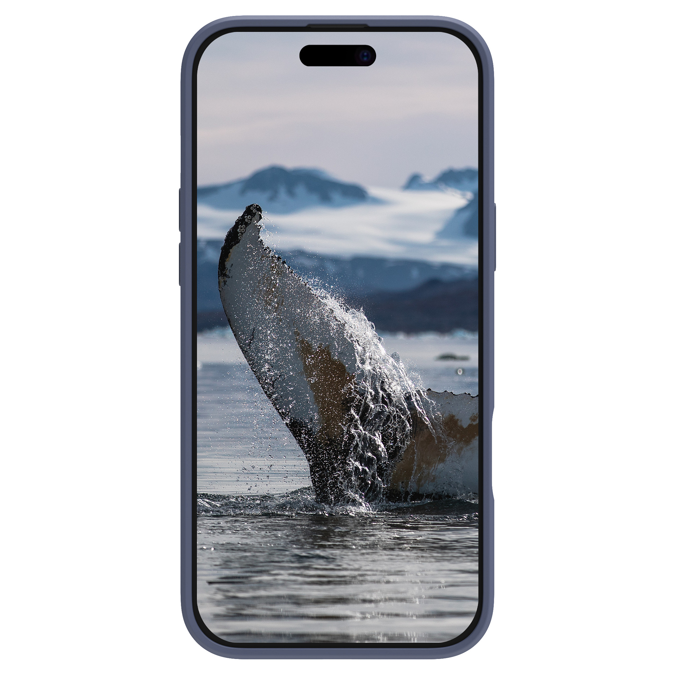 dbramante1928 Greenland Pro MS mobile phone case