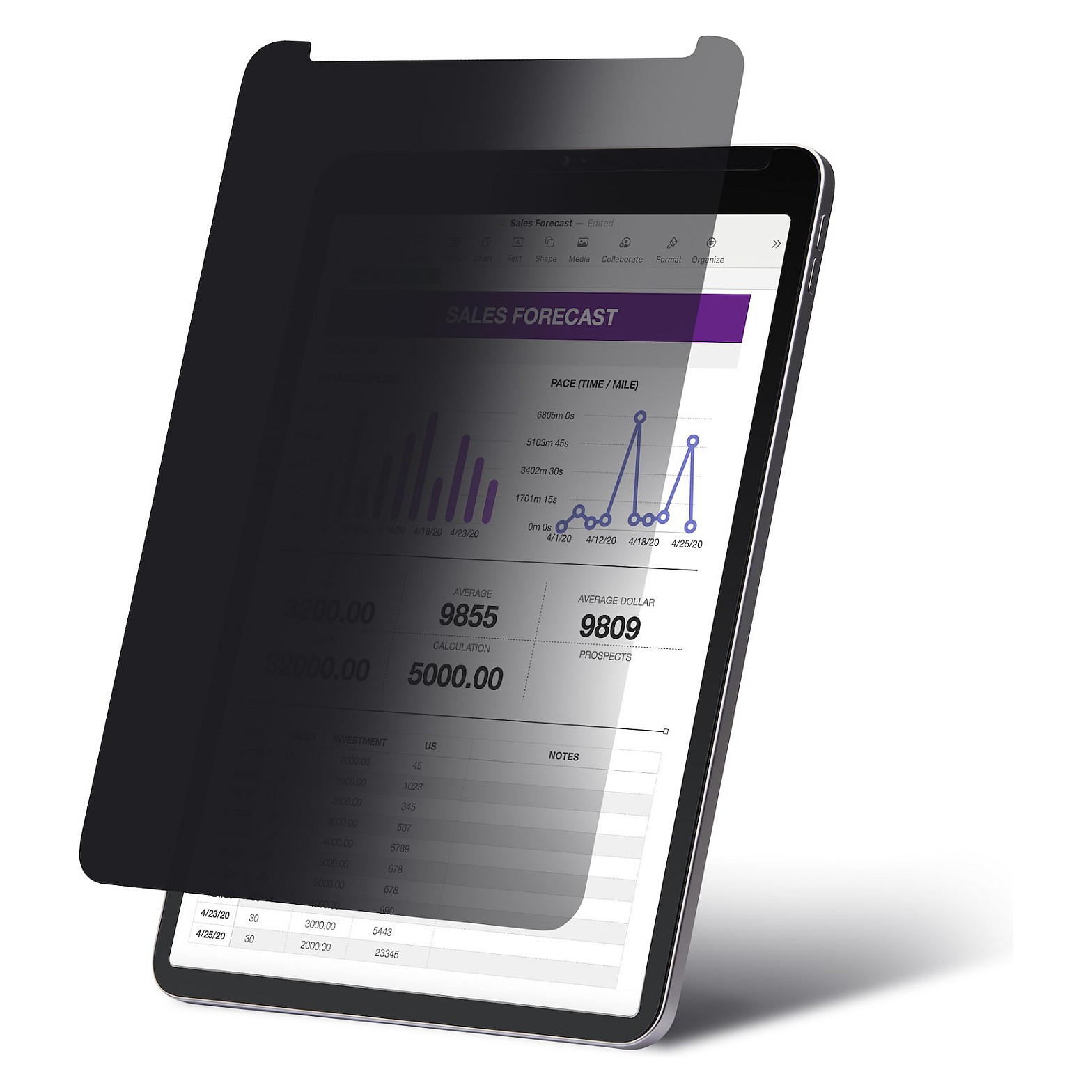 StarTech.com 129IP-PRIVACY-SCREEN display privacy filter