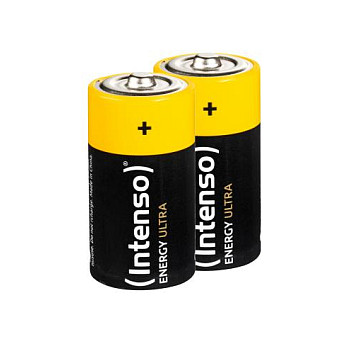 Intenso 7501432 household battery
