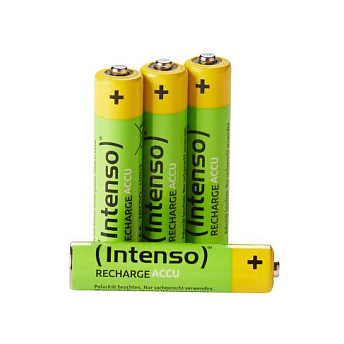 Intenso 7505114 household battery