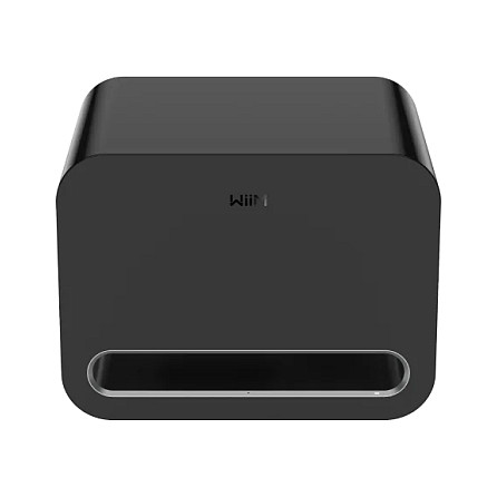 WiiM Sub Pro