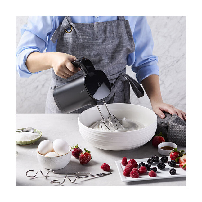 ZWILLING 1029304 mixer