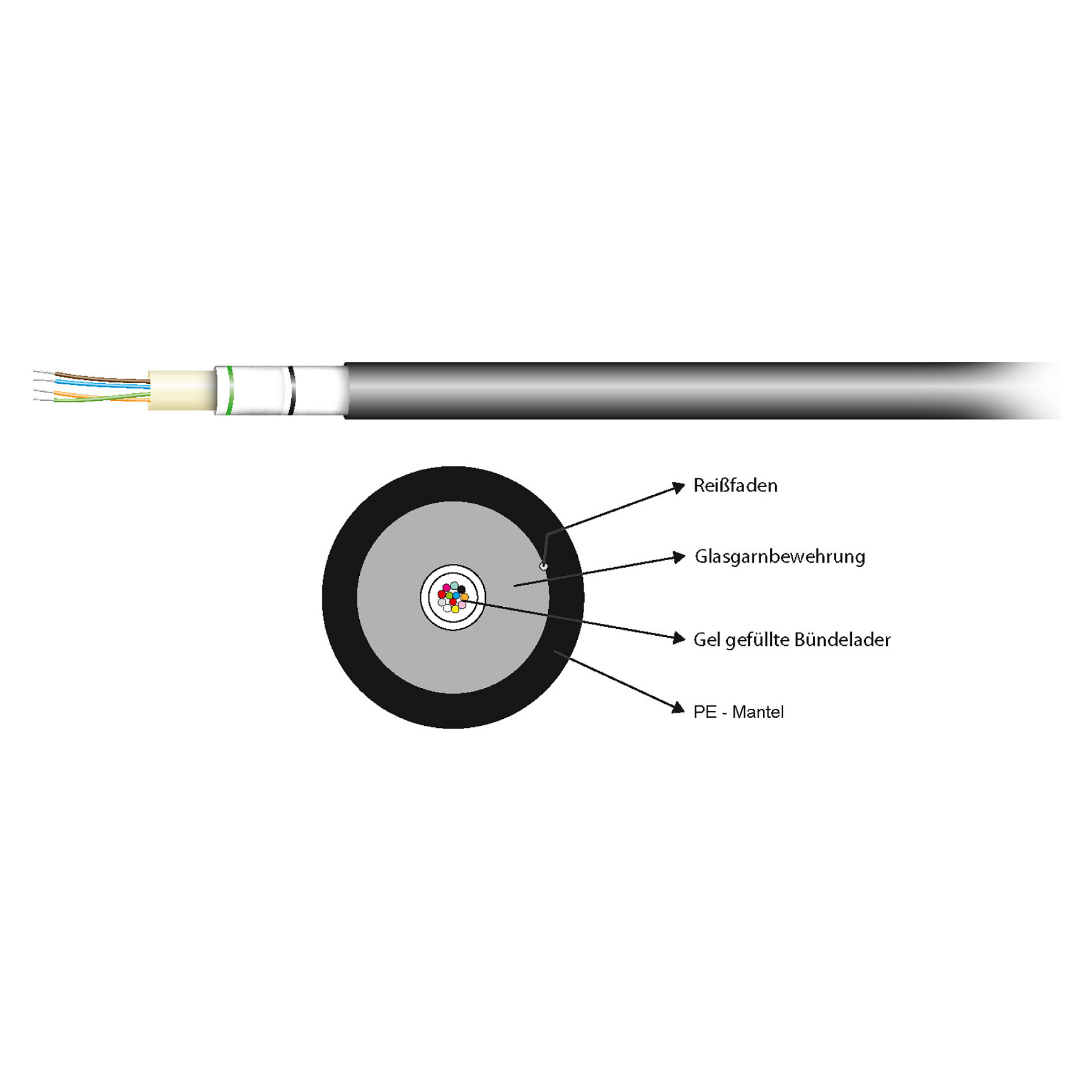 EFB Elektronik 55248.1OM3 not categorized