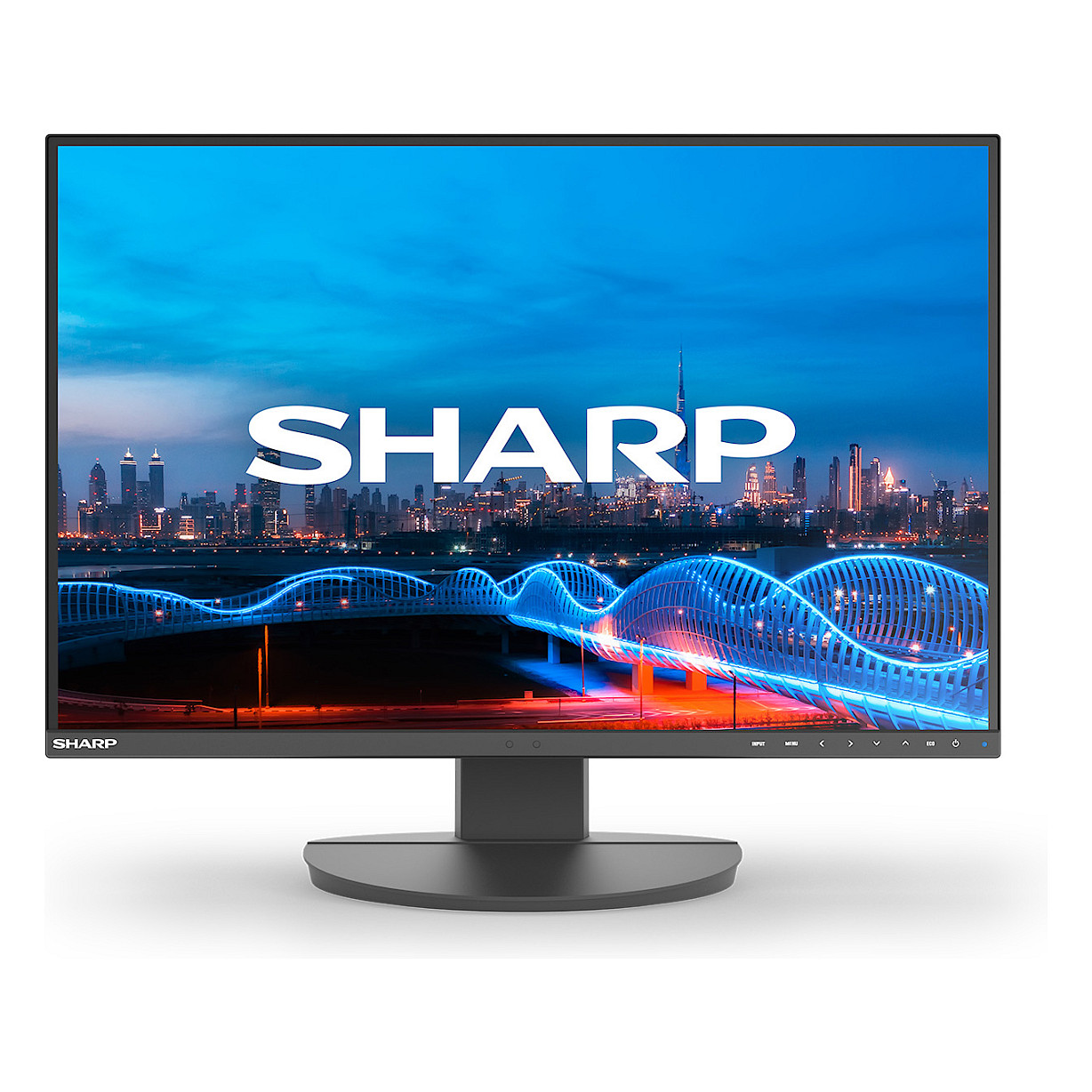 Sharp MultiSync EA241W computer monitor
