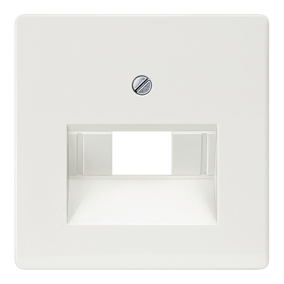 Siemens 5TG2545 Wandplatte/Schalterabdeckung