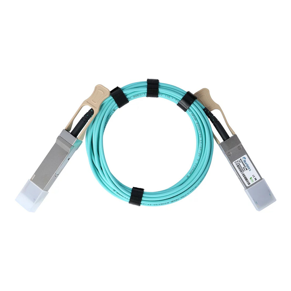 BlueOptics 100FRRA0100-BO InfiniBand/fibre optic cable Netzwerk