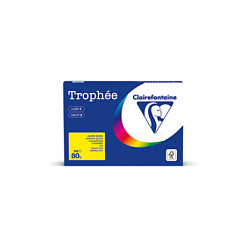 Clairefontaine Kopierpapier TrophÃ©e chamois DIN A4 80 g/qm 500 Blatt Papier