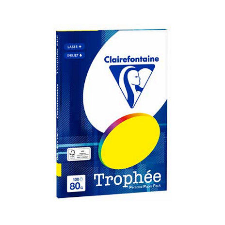 Clairefontaine Kopierpapier TrophÃ©e hellgrün DIN A4 80 g/qm 100 Blatt Papier