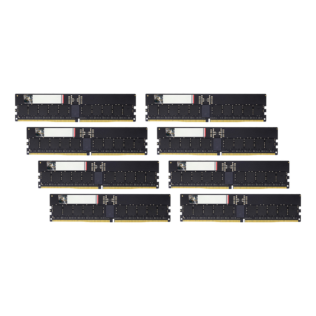 384GB (8x 48 GB) G.Skill RIMM 6000 Octo-Kit, ECC (schwarz, F5-6000R3036G48GE8-G5N, Zeta R5 Neo, Registred, INTEL XMP)