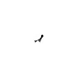 Cable TK TAE 2m TAE-F/RJ11 Western-St. 6/2 - Cable - Telephone Netzwerk