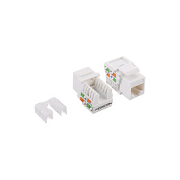 Keystone RJ45 Buchse Cat.5e UTP EconLine 90° Punch down. white LogiLink Netzwerk- und Serverschränke