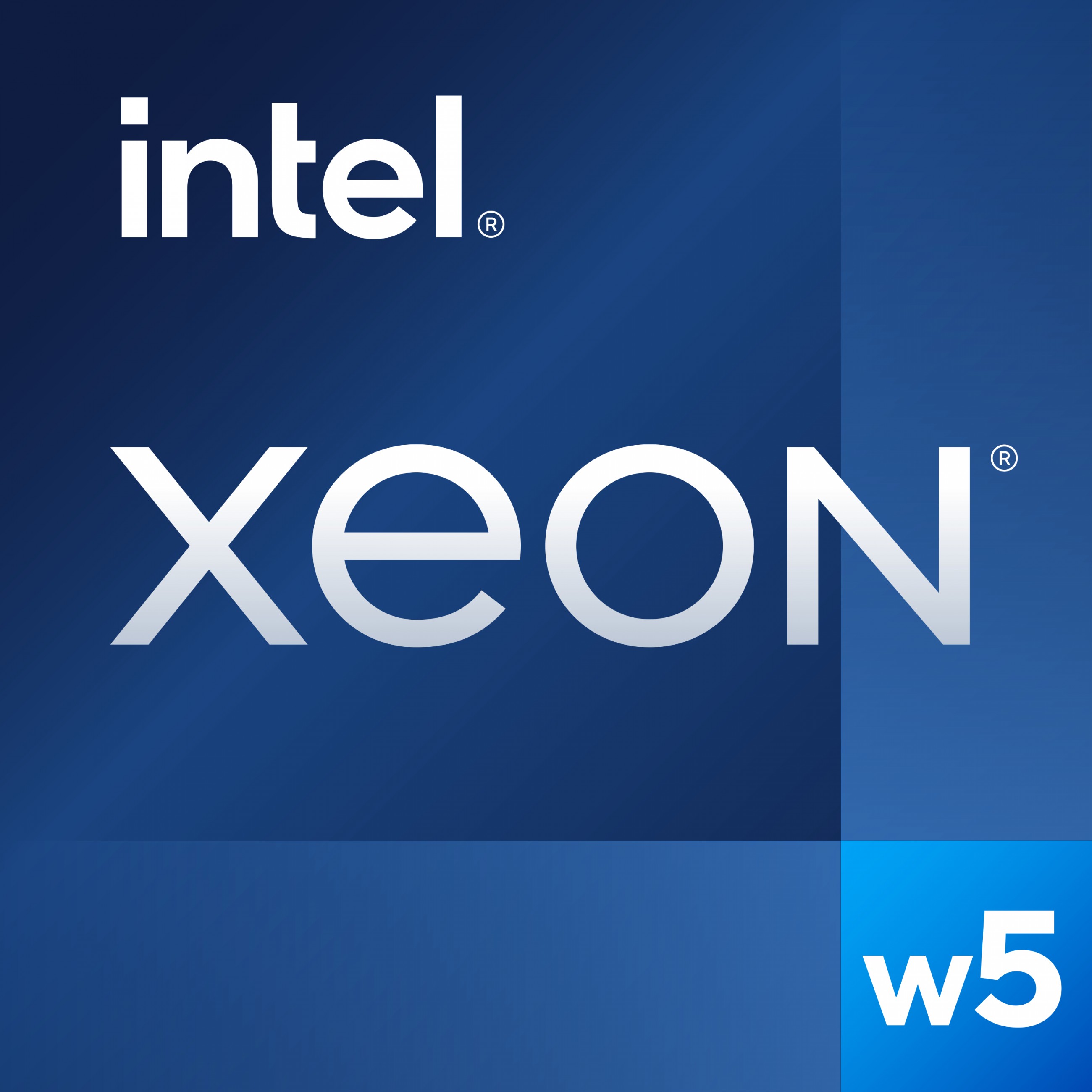 INTEL Xeon W5-2445 S4677 Tray