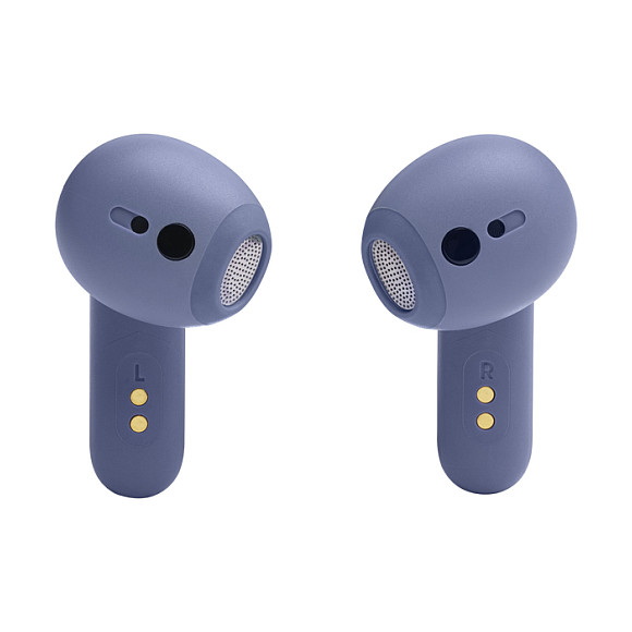 JBL LIVE FLEX