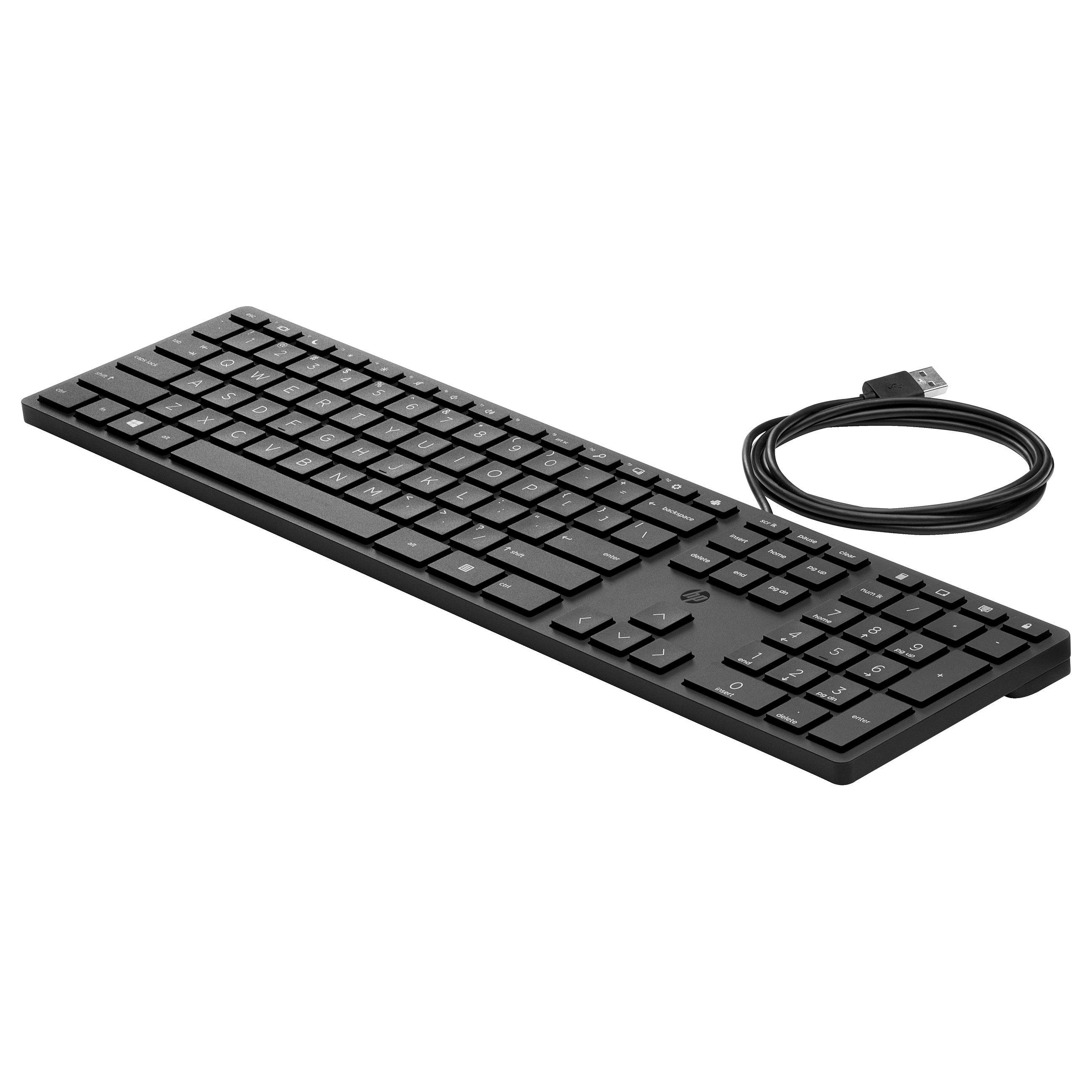 HP Wired Desktop 320K Keyboard (EU) US english QWERTY