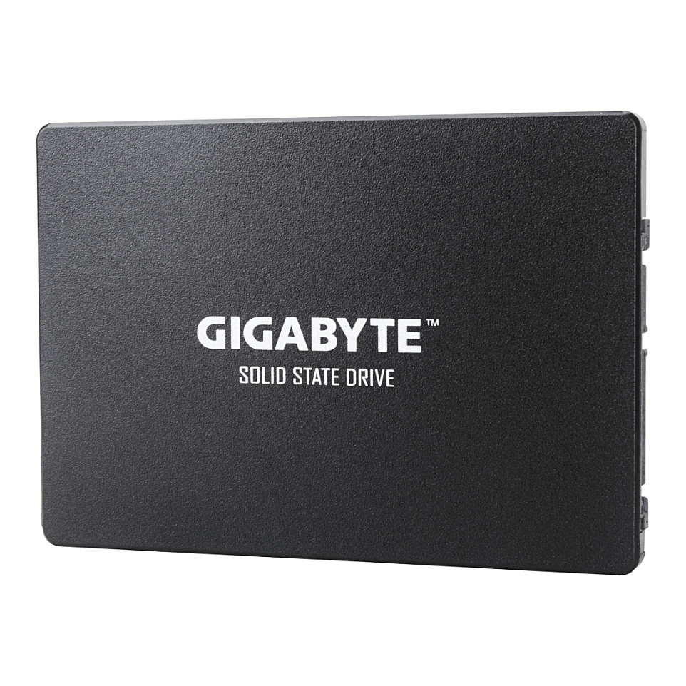 GIGABYTE GP-GSTFS31480GNTD internal solid state drive Interne SSDs
