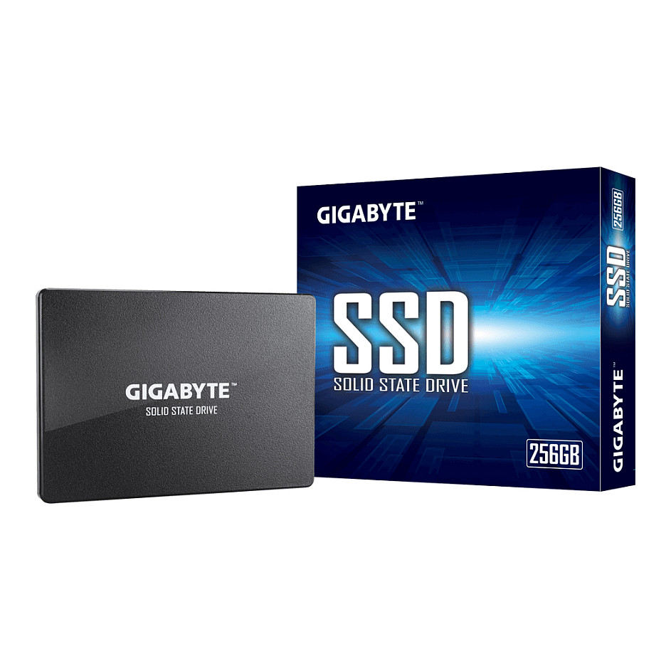GIGABYTE GP-GSTFS31256GTND internal solid state drive
