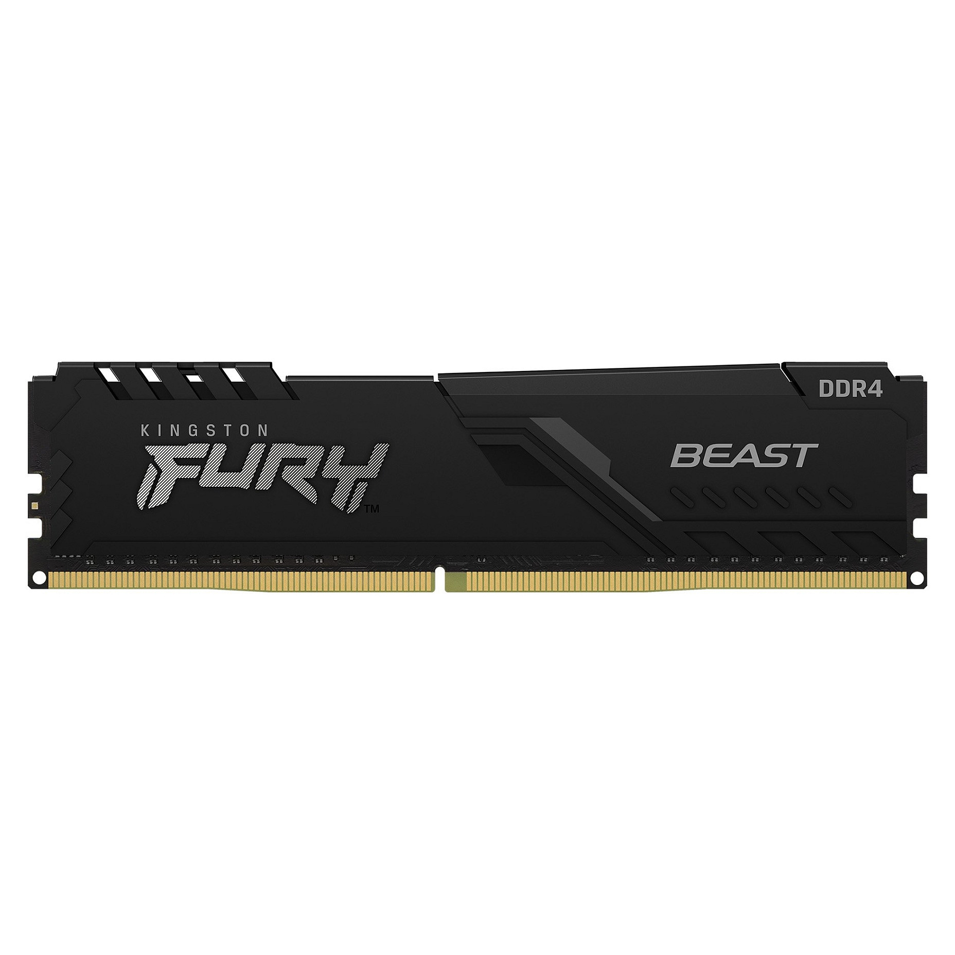 Kingston Technology FURY Beast memory module