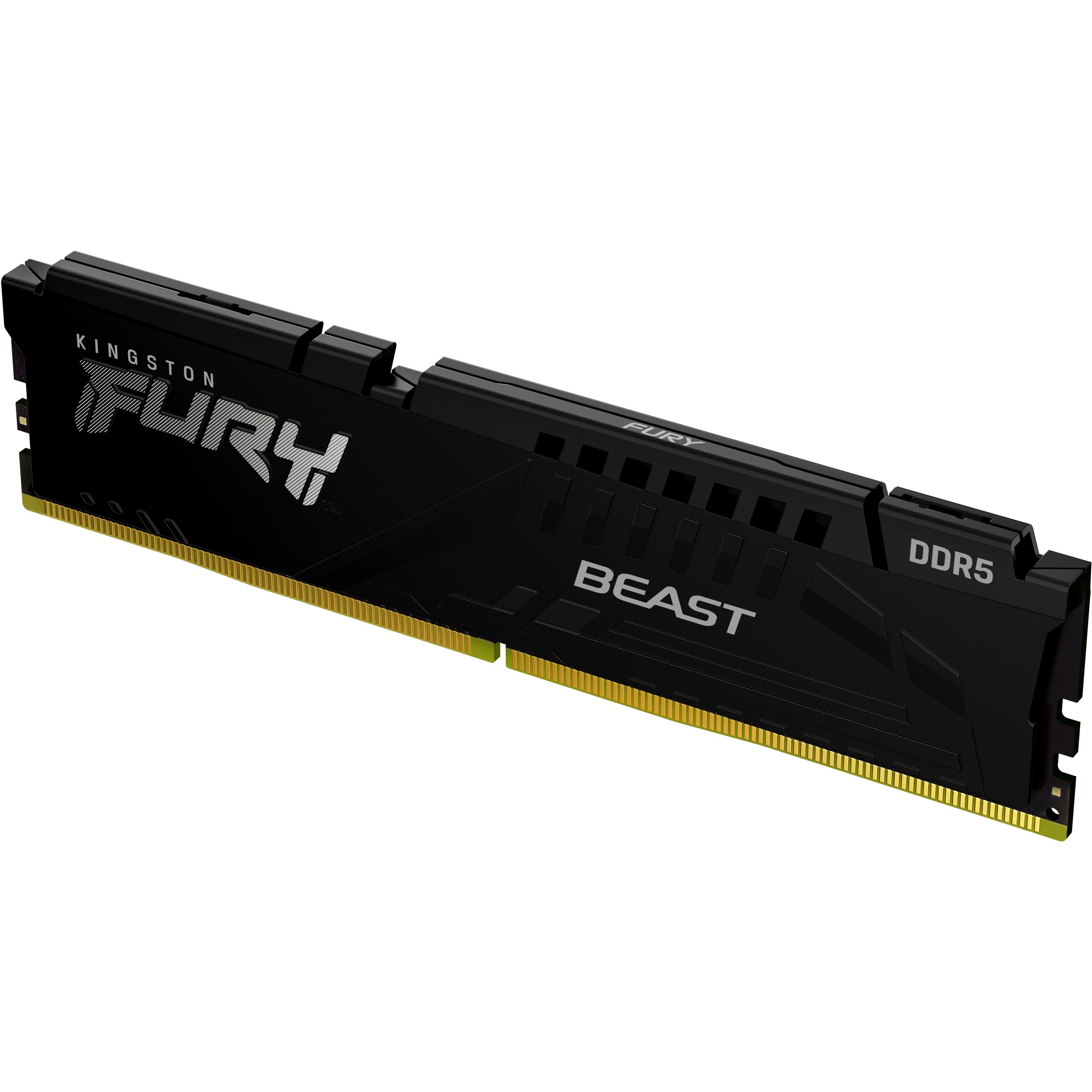 Kingston Technology FURY Beast memory module - KF556C40BB-16