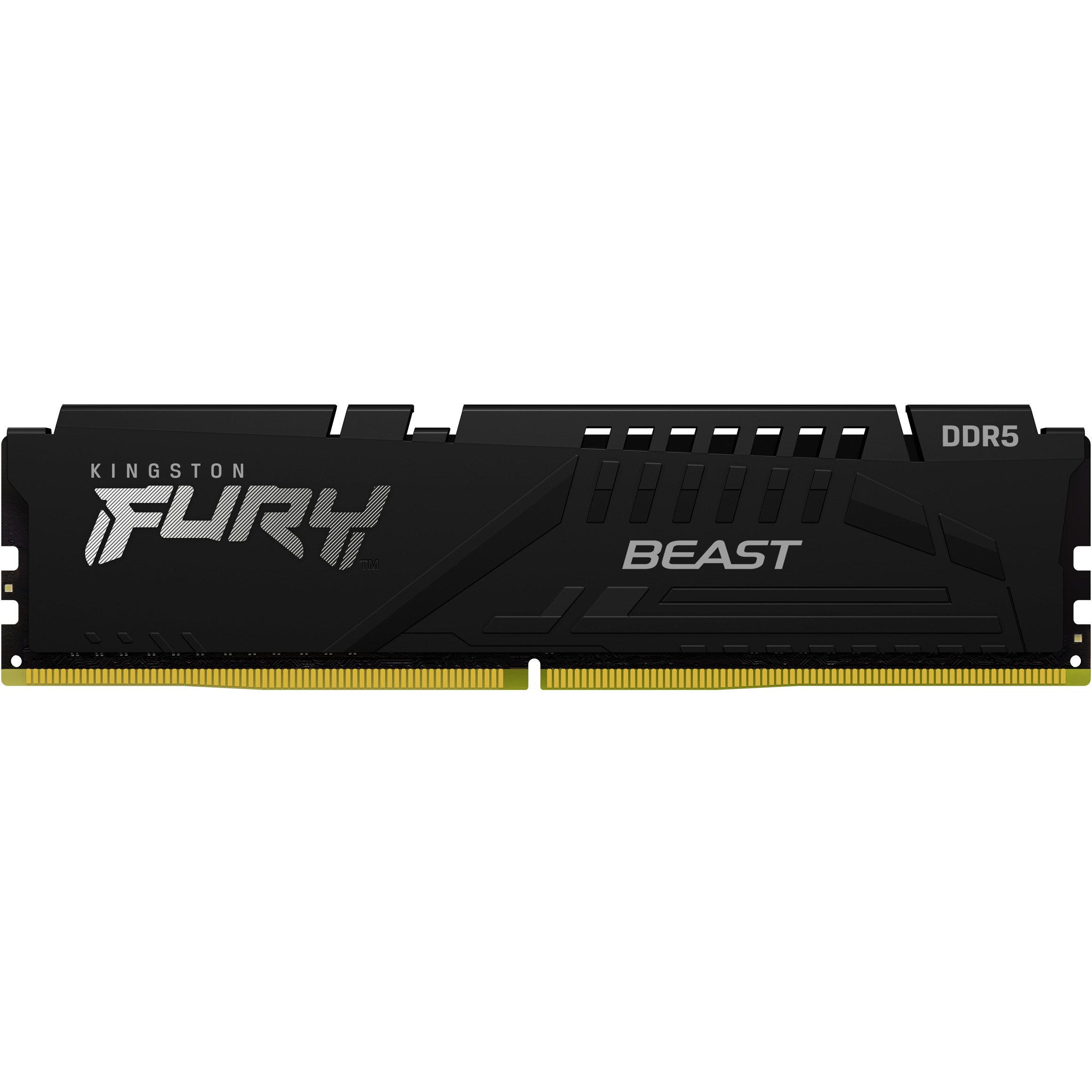 Kingston Technology FURY Beast memory module, Kingston  (BILD2)
