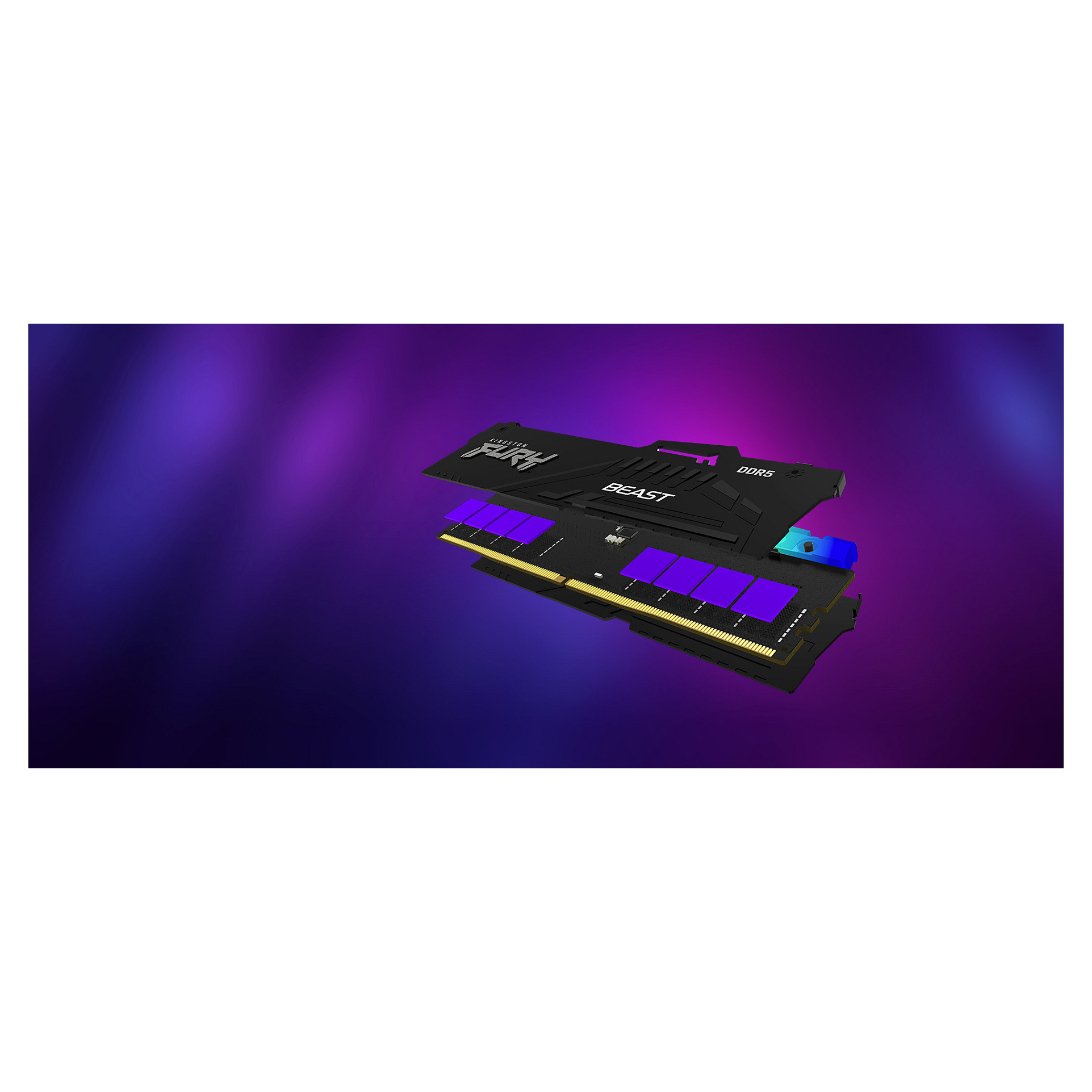 Kingston Technology FURY Beast RGB memory module
