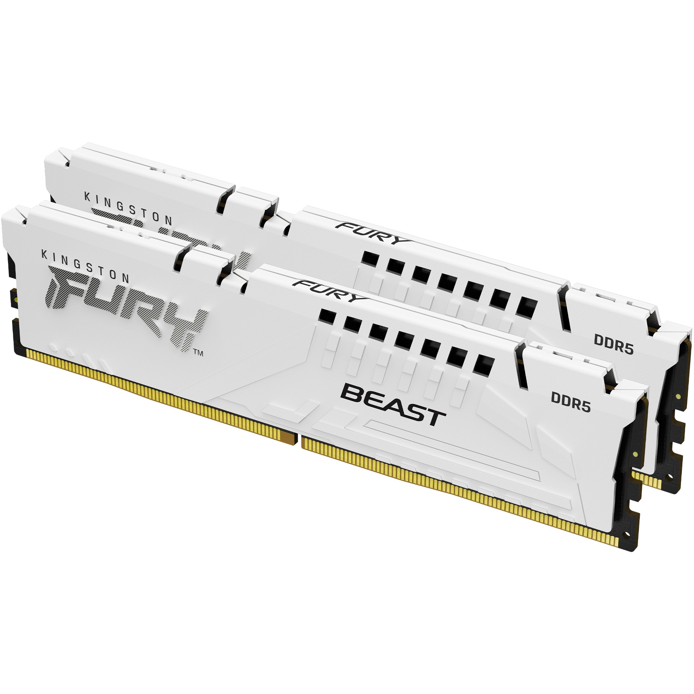 0740617343328 - FURY Beast DDR5-6000 - 32GB - CL30 - Dual Channel (2 Stück) - AMD EXPO & Intel XMP - Weiß