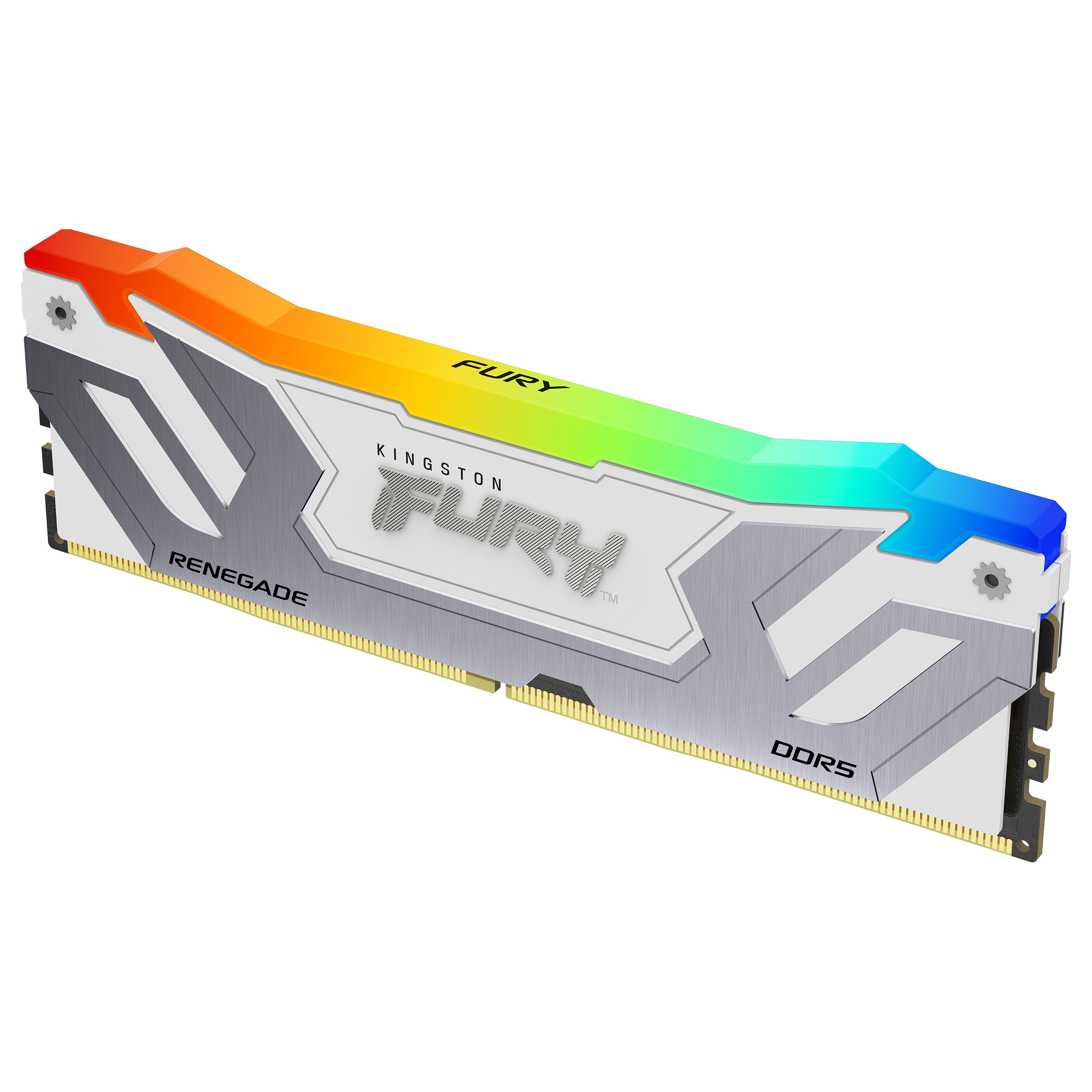 Kingston Technology FURY Renegade RGB memory module