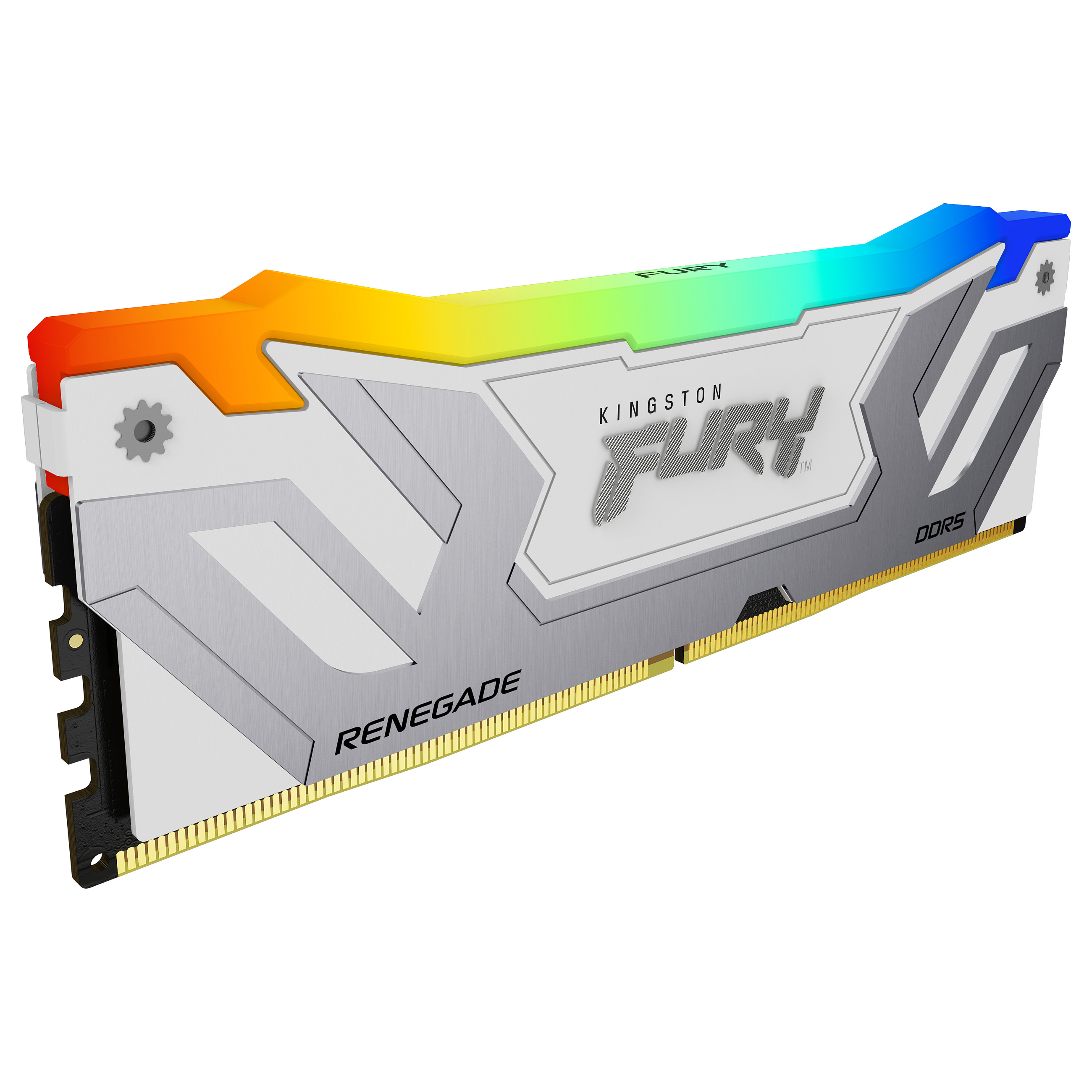 Kingston Technology FURY Renegade RGB memory module