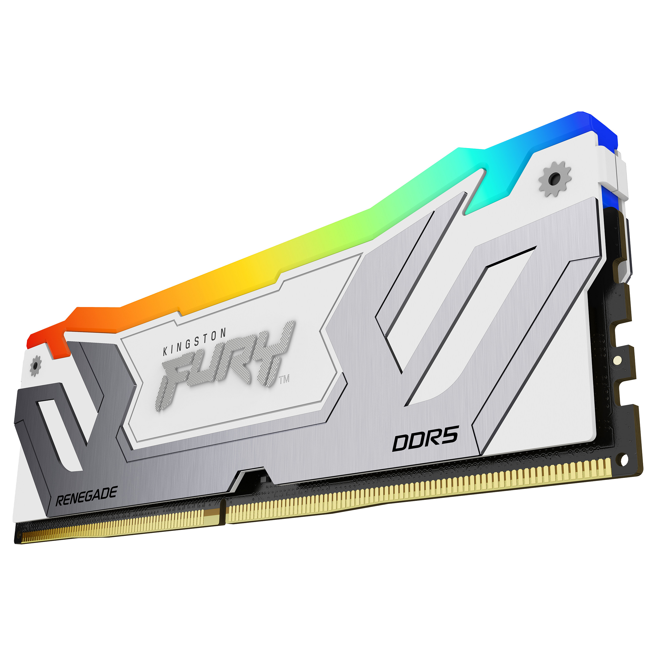 Kingston Technology FURY Renegade RGB memory module