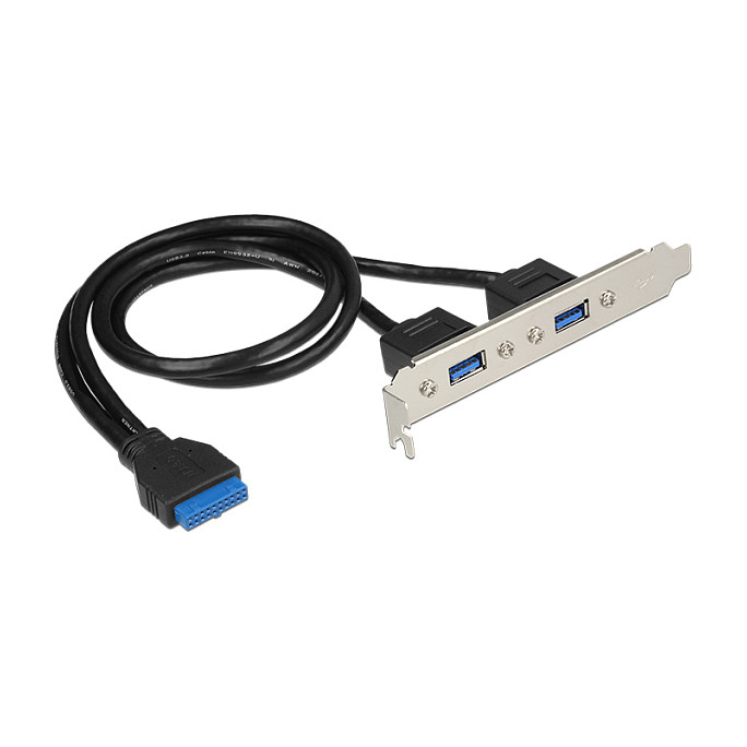 DeLOCK Slot bracket - USB-Konsole - USB