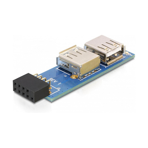 DeLOCK 9-pin 2.54 mm/2 x USB 2.0 USB