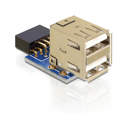 DeLOCK 1 x 9-pin 2.54 mm/2 x USB 2.0-A USB