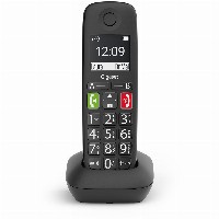 Gigaset E290HX