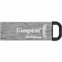 STICK 256GB USB 3.2 Kingston DataTraveler Kyson Silver