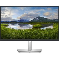 60,45cm/23,8 (2560x1440) DELL-P2423D 16:9 8ms IPS DisplayPort HDMI USB VESA Pivot Black/Silver